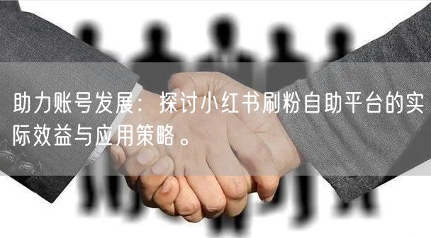 助力账号发展:探讨小红书刷粉自助平台的实际效益与应用策略。