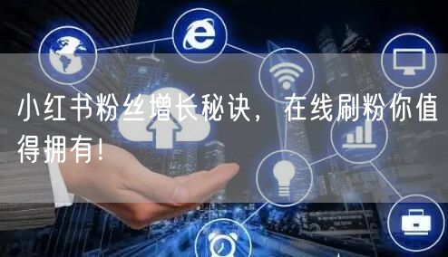 小红书粉丝增长秘诀,在线刷粉你值得拥有!