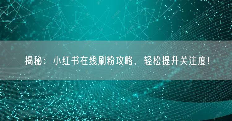 揭秘:小红书在线刷粉攻略,轻松提升关注度!