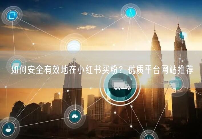 如何安全有效地在小红书买粉?优质平台网站推荐
