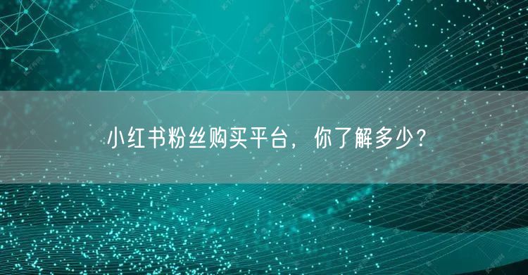 小红书粉丝购买平台,你了解多少?