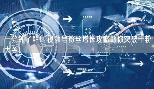 一分钟了解!视频号粉丝增长攻略助你突破千粉大关!