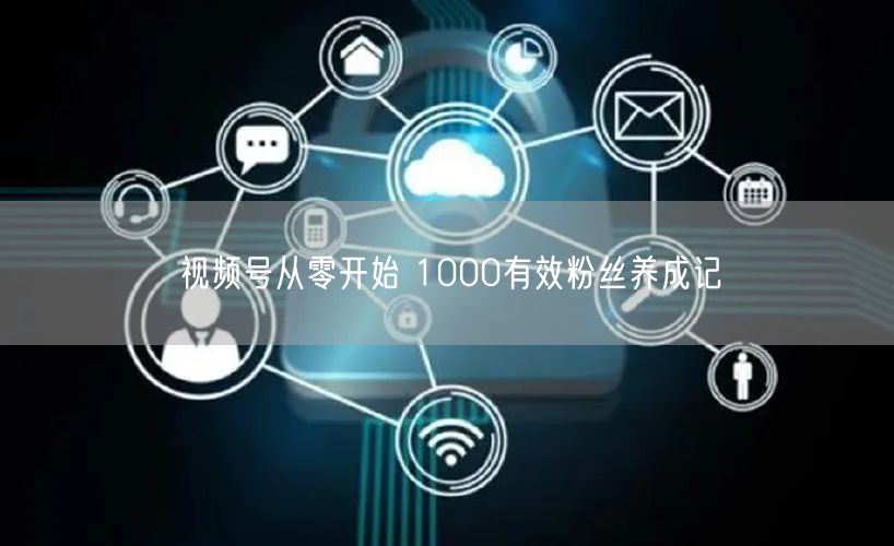 视频号从零开始 1000有效粉丝养成记