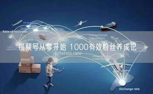 视频号从零开始 1000有效粉丝养成记
