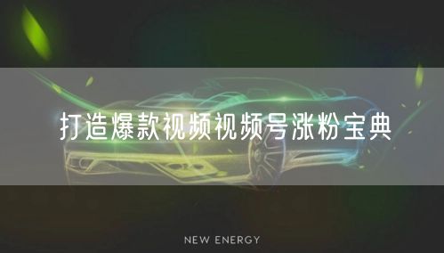打造爆款视频视频号涨粉宝典