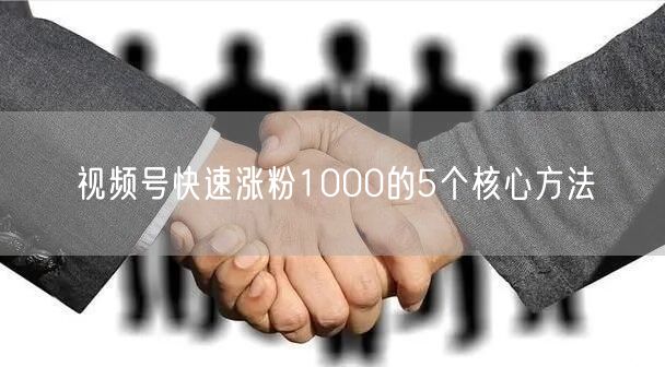 视频号快速涨粉1000的5个核心方法